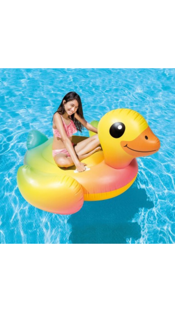 FLOTADOR MONTABLE PATO 160*118 REF:57556NP